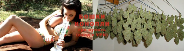 стафф Иннополис