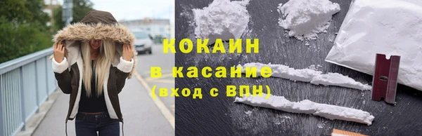 стафф Иннополис