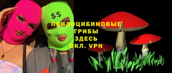 стафф Иннополис