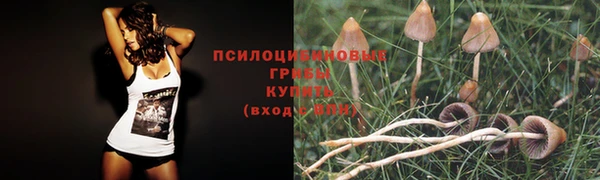 молекула духа Инта