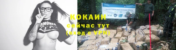 стафф Иннополис