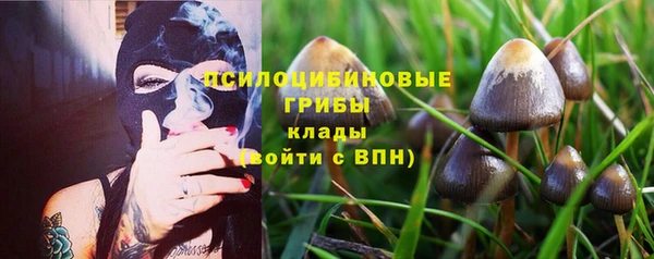 стафф Иннополис