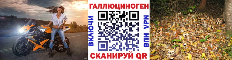 Псилоцибиновые грибы GOLDEN TEACHER  Купить где  Ртищево 